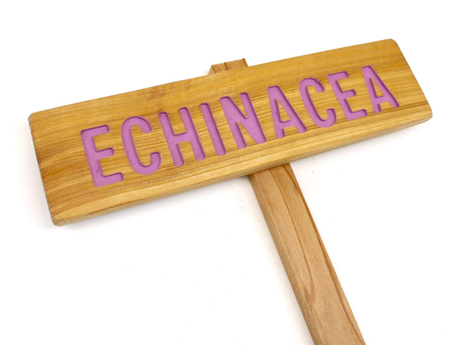 ECHINACEA Garden Sign - Outdoor Plant Marker for Herb Gardens, Yard Art & Urban Landscaping - Coneflower & Tea Herb Signage - Perfect for Perennial Gardens & Botanical Decor