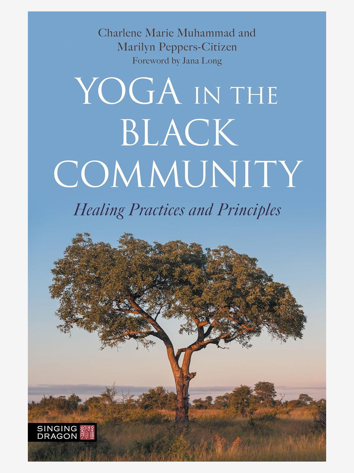 Yoga for Black Community - Mindful Practices for Wellness, Strength & Healing | Home, Studio & Group Sessions