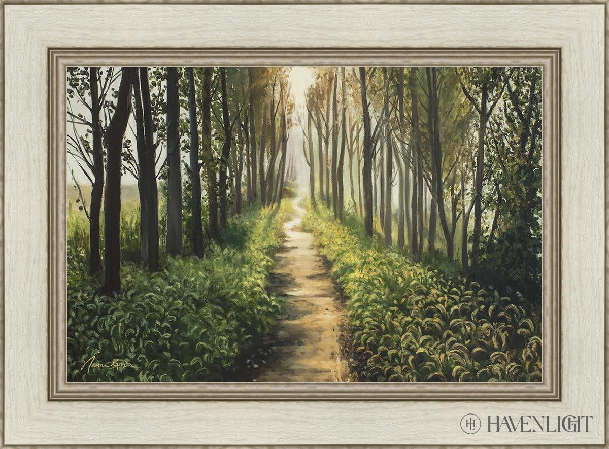 Forest Walkway - Beautiful Wooden Pathway for Gardens, Parks & Trails | Perfect for Outdoor Decor & Nature Walks