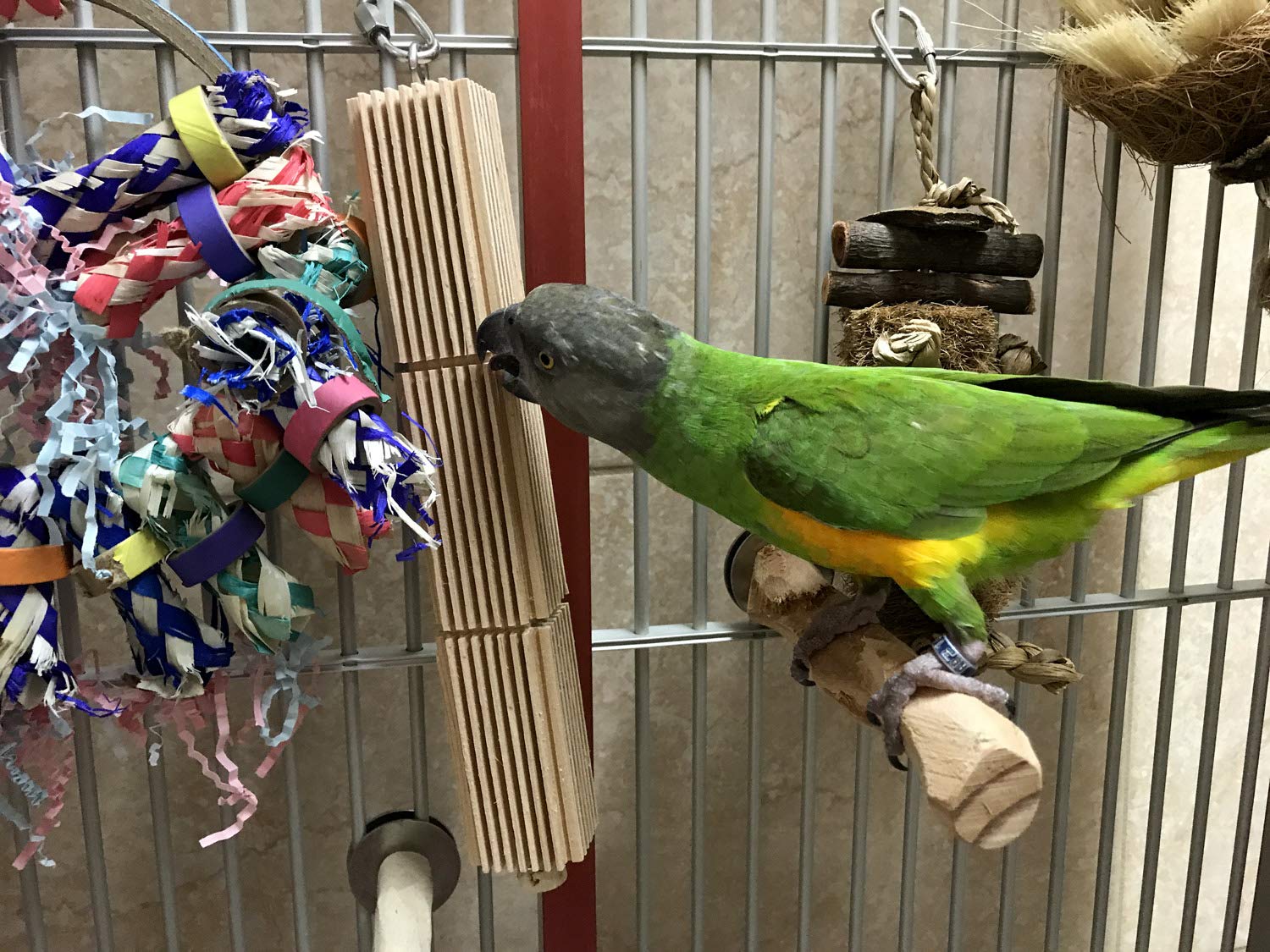 Mini Bird Tower Toy for Small Parrots & Parakeets - Interactive Play Gym for Climbing, Chewing & Exercise | Perfect for Cockatiels, Lovebirds & Conures