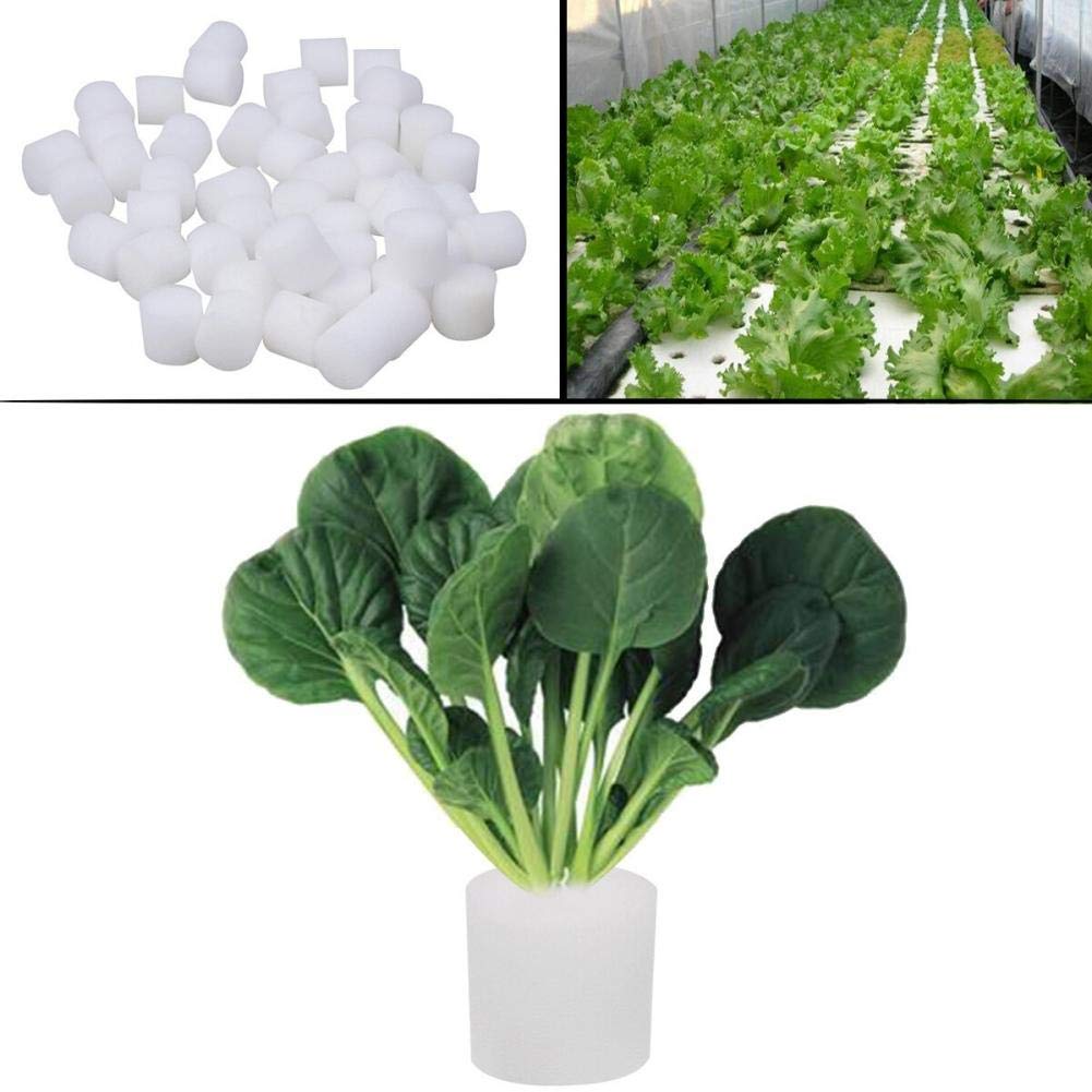 **50 Pcs Hydroponic Sponge Cubes - Soilless Seedling Starter, Dust-Free & Non-Toxic for Indoor Gardening, Hydroponics, and Home Planting**