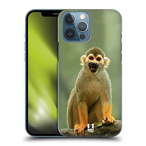 Common Squirrel Monkey