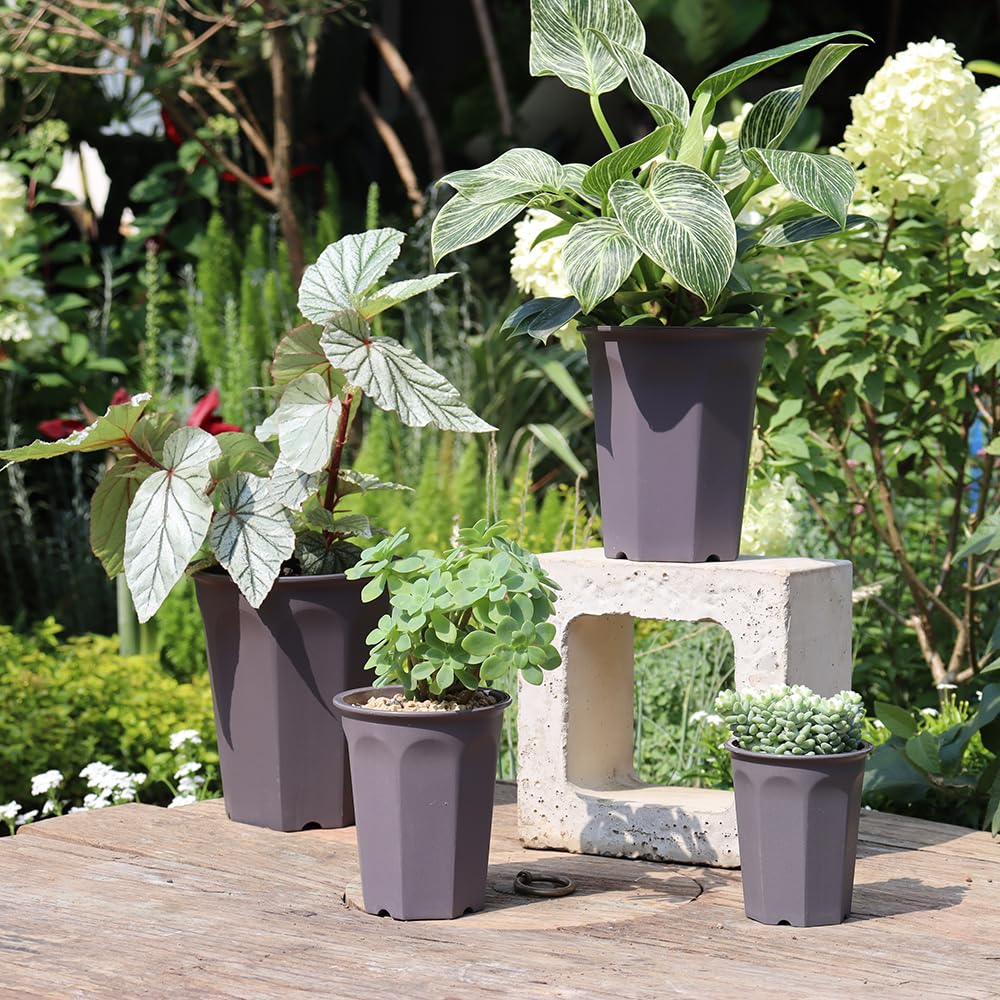 BangQiao 8 Pack 6.10 Inch Plastic Deep Nursery Pots - Round Seed Starter Planters for Seedlings & Transplanting (Gray) - Ideal for Indoor Gardening, Greenhouses & Home Plant Propagation