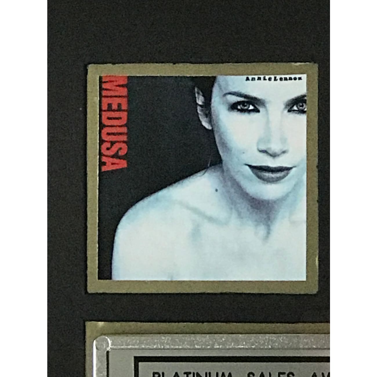 Annie Lennox Medusa RIAA Platinum Album Award - Certified Music Collectible for Fans & Display