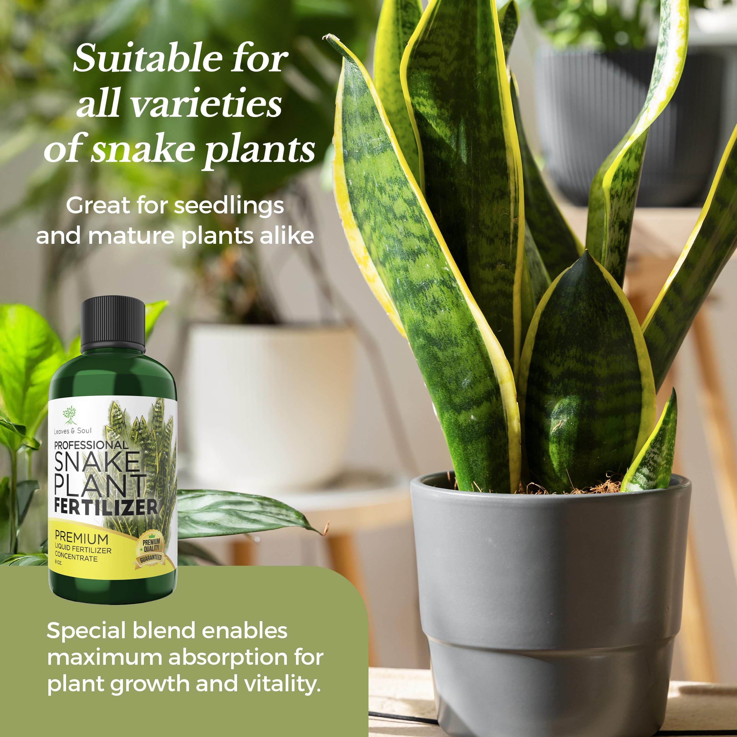 Premium Liquid Snake Plant Fertilizer 8 oz - 3-1-2 NPK Concentrated Plant Food for Indoor & Outdoor Plants - All-Purpose Flower & Garden Nutrient Solution - Perfect for Houseplants, Succulents & Gardening Supplies