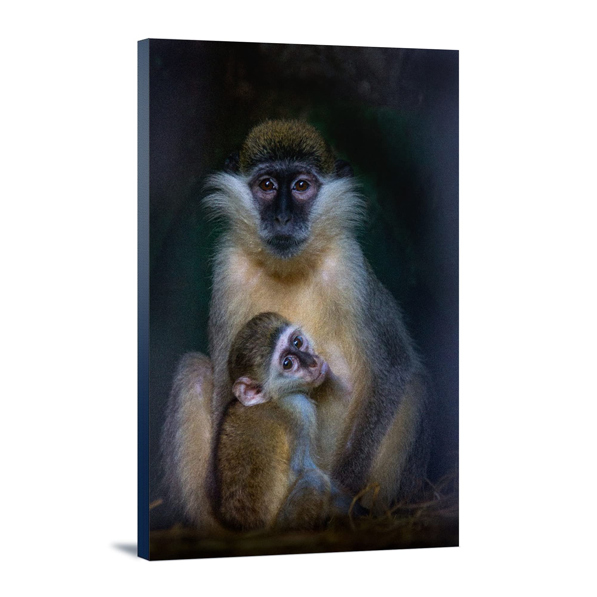 Monkey with Baby - 24x36 Gallery Wrapped Stretched Canvas Wall Art - Perfect for Nursery, Living Room & Home Decor
