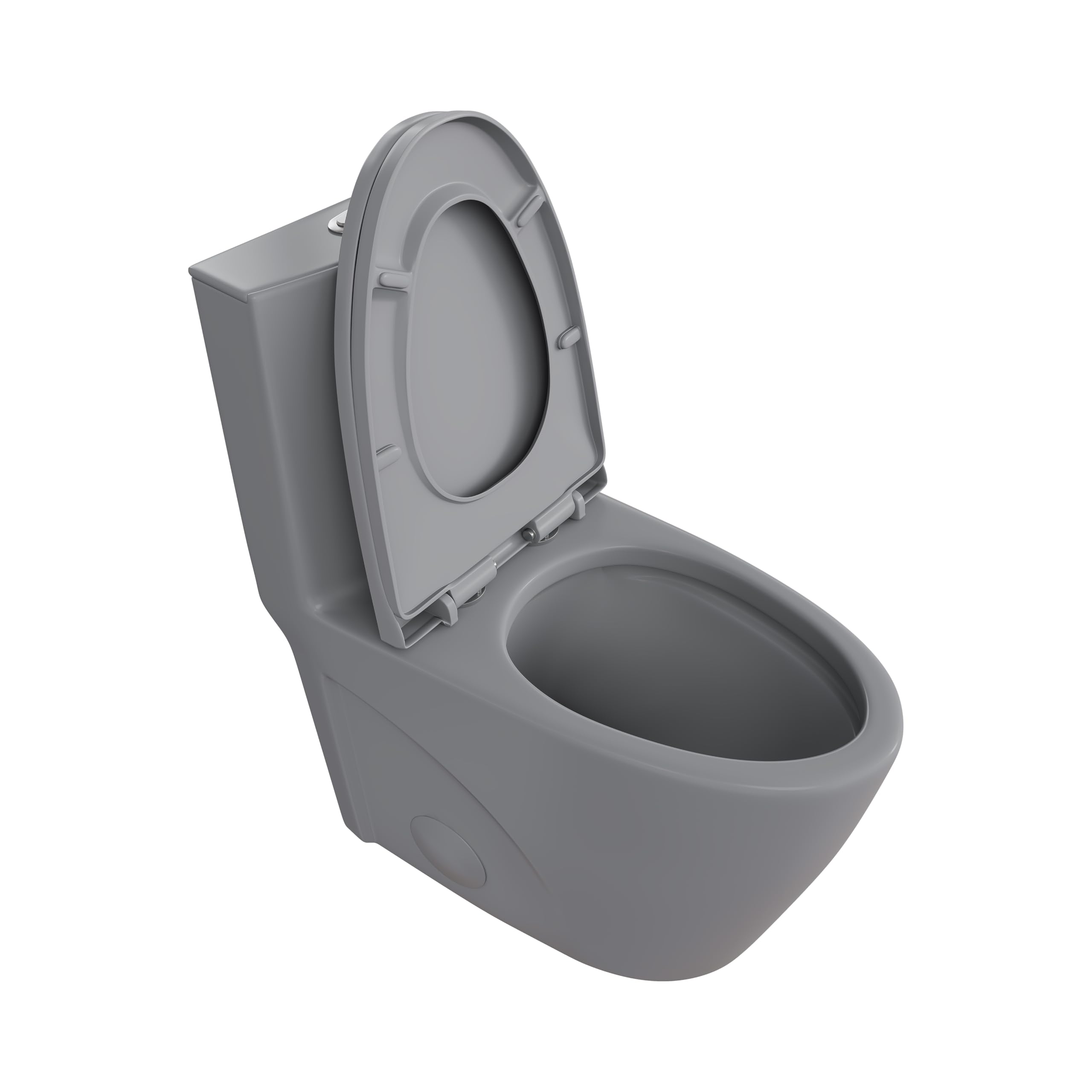 Eridanus Elongated One Piece Toilet - Powerful Siphon Dual Flush 1.1/1.6 GPF, 12