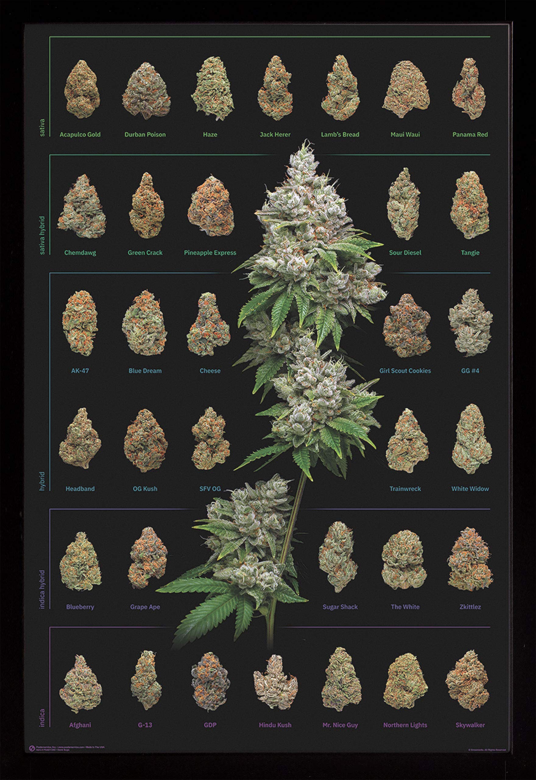 FRAME USA Dank Nugs Poster - 24x36 Black Affordable Medium Picture Frame for Wall Art, Home Decor & Cannabis Enthusiast Gifts
