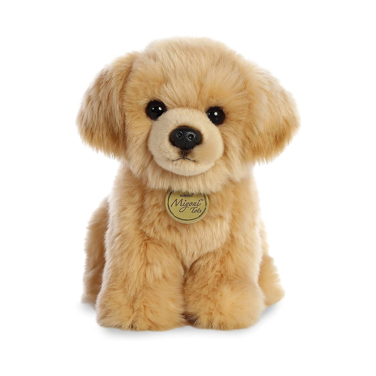 Aurora Golden Retriever Puppy 11