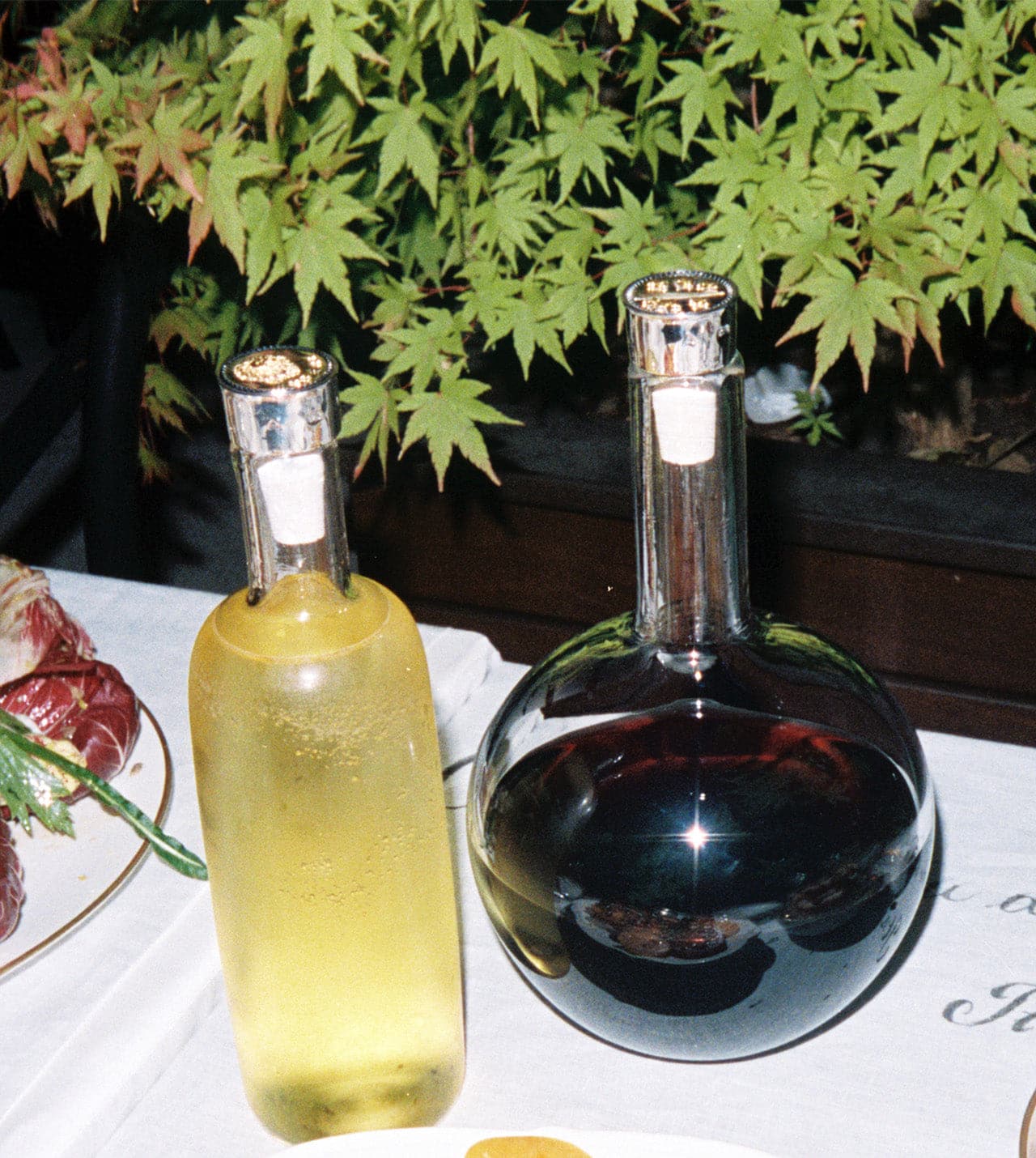 Reverie Elegant Glass Bottle Stopper - Wine & Olive Oil Preserver for Home & Kitchen | Perfect for Gifts, Entertaining & Everyday Use