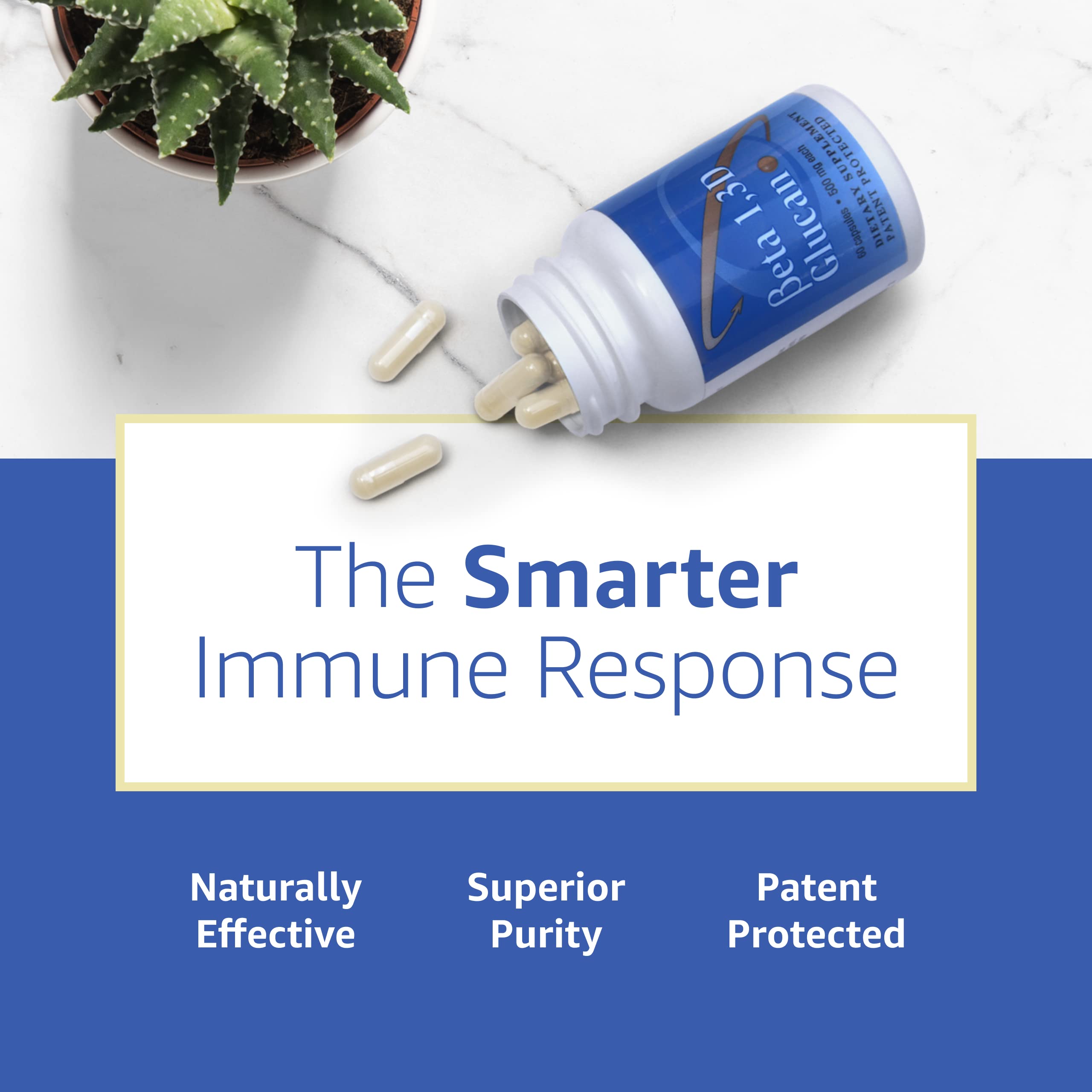 Immune Support Supplement with 500mg Highly Purified Beta Glucan per Capsule - 60 Capsules (1 Pack) | Natural Immune Booster for Adults & Kids | Daily Wellness Support for Cold & Flu Season