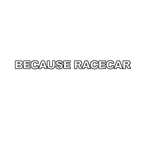 EW Designs Because Racecar Sticker - High Quality Die Cut Vinyl Decal for JDM Cars & Trucks (5 Inch) - Perfect for Bumpers, Windows & Racing Enthusiasts