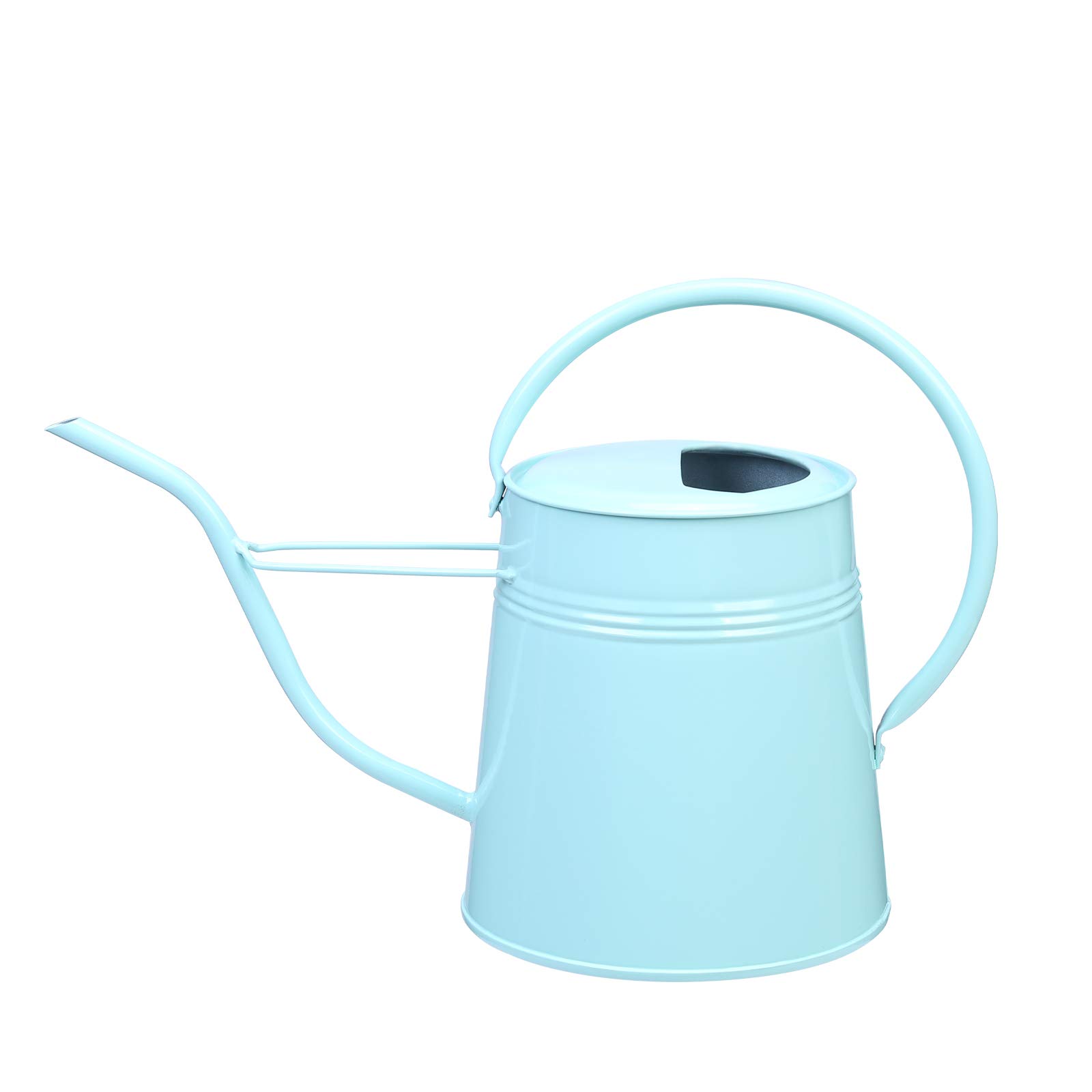 Asvert 0.61-Gallon Long Spout Watering Can - Light Green Indoor/Outdoor Plant Watering Pot with Comfort Handle for House, Garden & Office Desk | Perfect for Small Plants, Flowers & Succulents