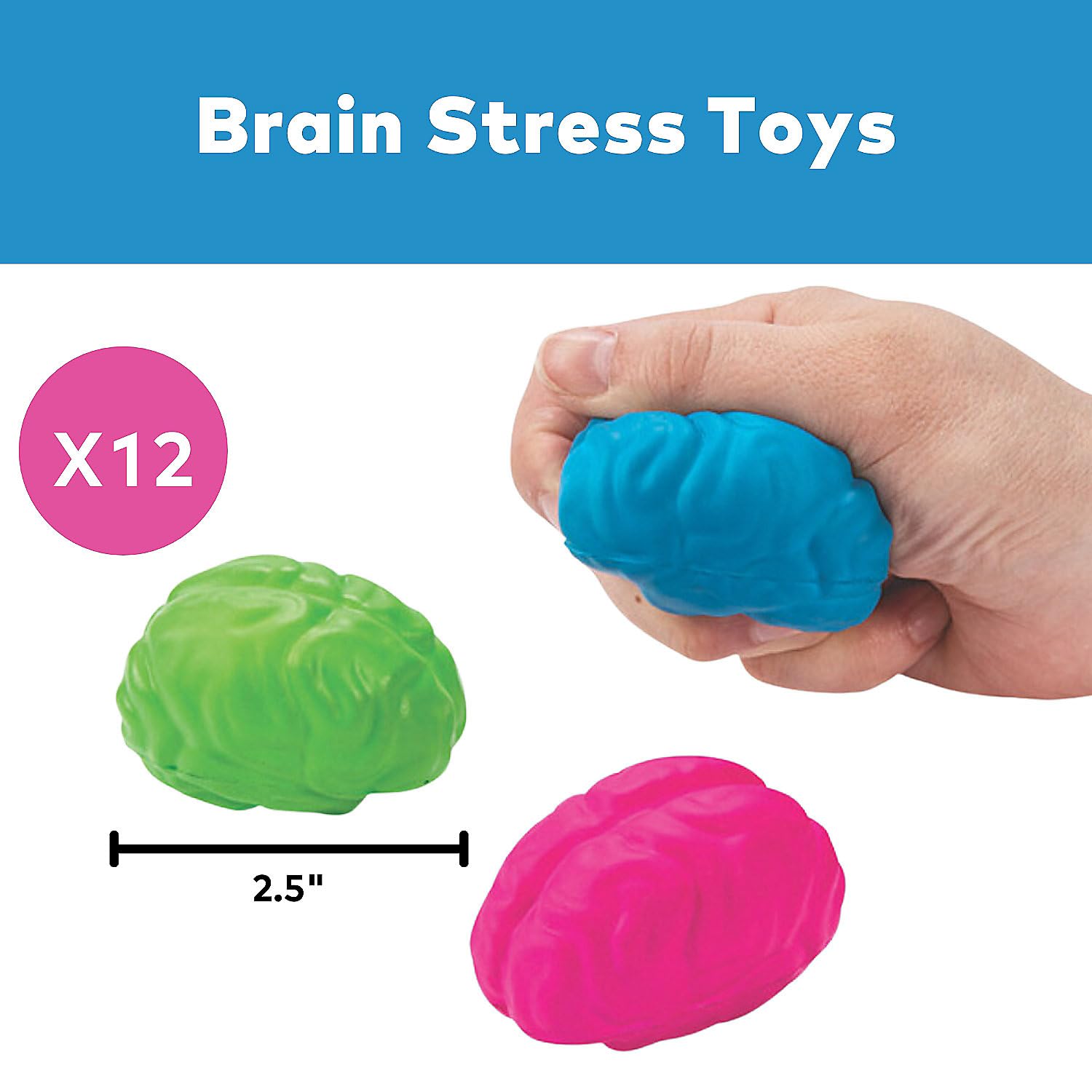 12-Pack Brain-Shaped Stress Balls - Squeeze & Relieve Anxiety - Fun Office & School Stress Relief Toys for Adults & Kids - Perfect for Desk, Classroom, or Home Use