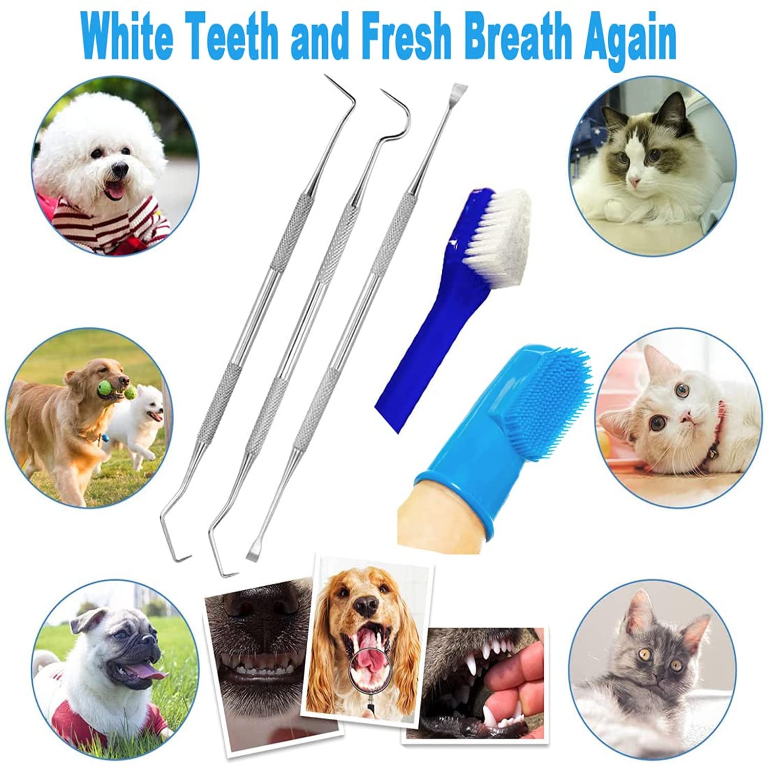 8 Pack Dog Teeth Cleaning Kit - Stainless Steel Plaque Remover, 3 Scrapers, 2 Toothbrushes & 3 Finger Brushes for Small & Large Dogs | At-Home Dental Care for Fresher Breath & Healthier Gums