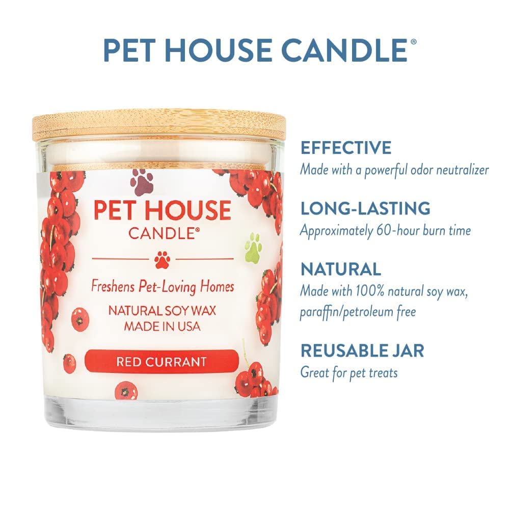 One Fur All Pet House Candle 2 Pack - Soy Wax, Plant-Based, Clean Burning Scented Candles for Home - Long Lasting Pet Odor Eliminator - Red Currant Fragrance | Perfect for Living Rooms, Bedrooms & Pet-Friendly Spaces