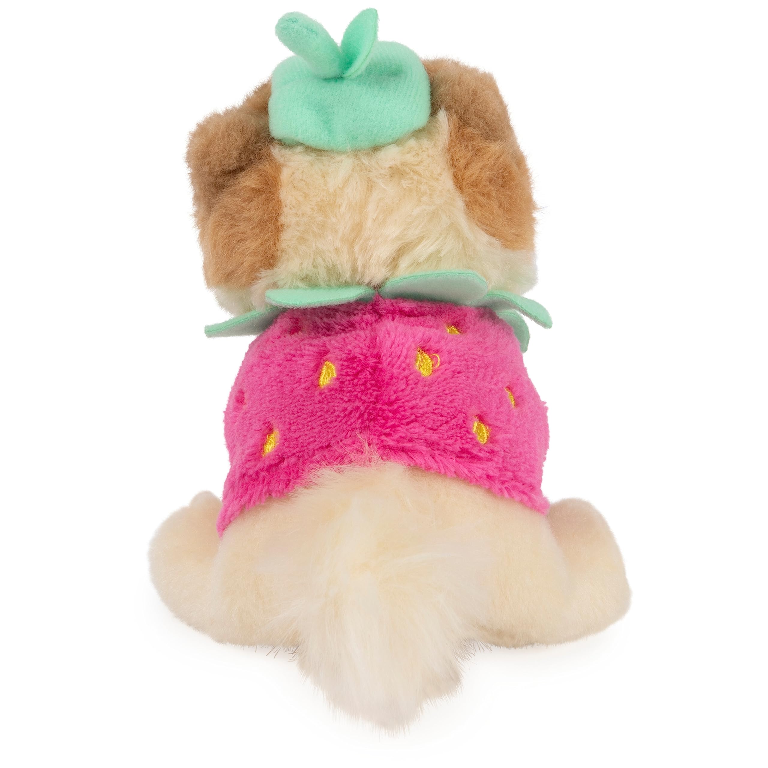 GUND Boo - Adorable Pomeranian Stuffed Animal Plush Toy (5