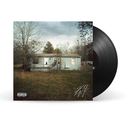 9 Lives Vinyl LP - Classic Rock Album for Music Collectors & Audiophiles | Perfect for Home Listening & Vinyl Enthusiasts