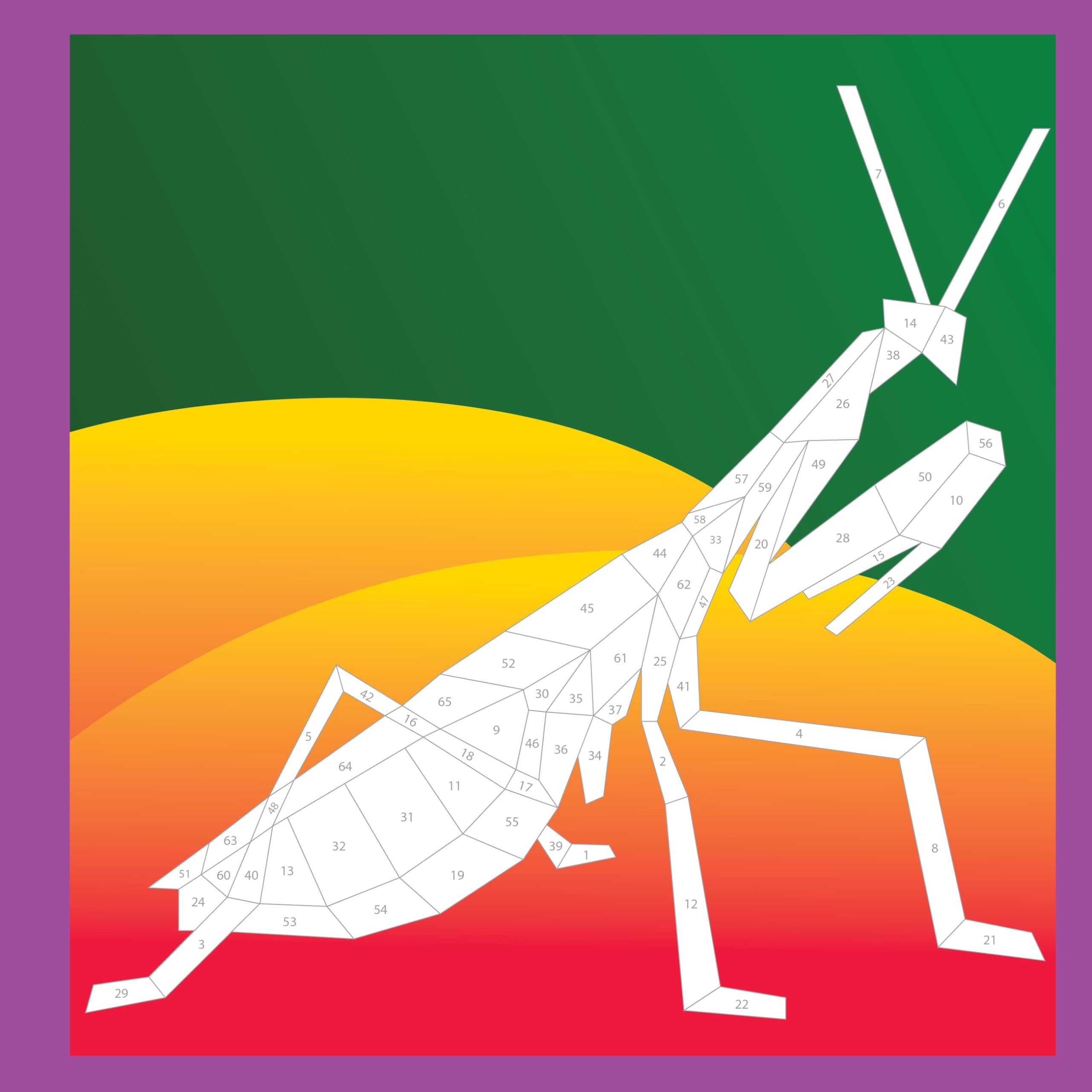 Paint by Sticker Kids: Beautiful Bugs - Create 10 Sticker Art Pictures Step by Step (Mess-Free Activity Book for Children Ages 5-10, Fun DIY Craft for Home & Travel, Perfect Gift for Birthday & Holidays)