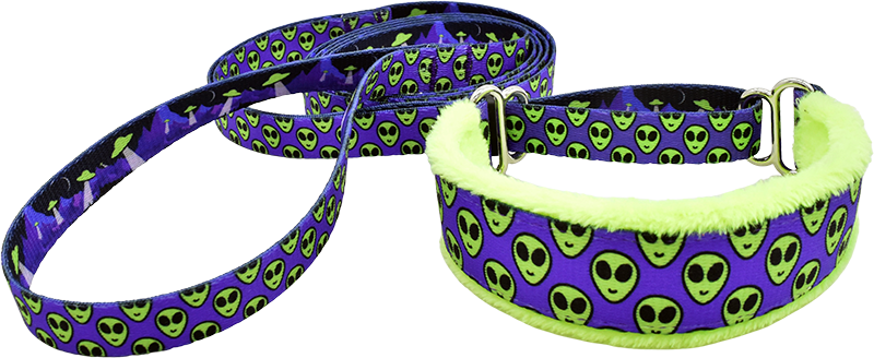 Premium Martingale Dog Walking Lead - Adjustable No-Pull Training Leash for Medium & Large Dogs - Perfect for Daily Walks, Hiking & Outdoor Adventures