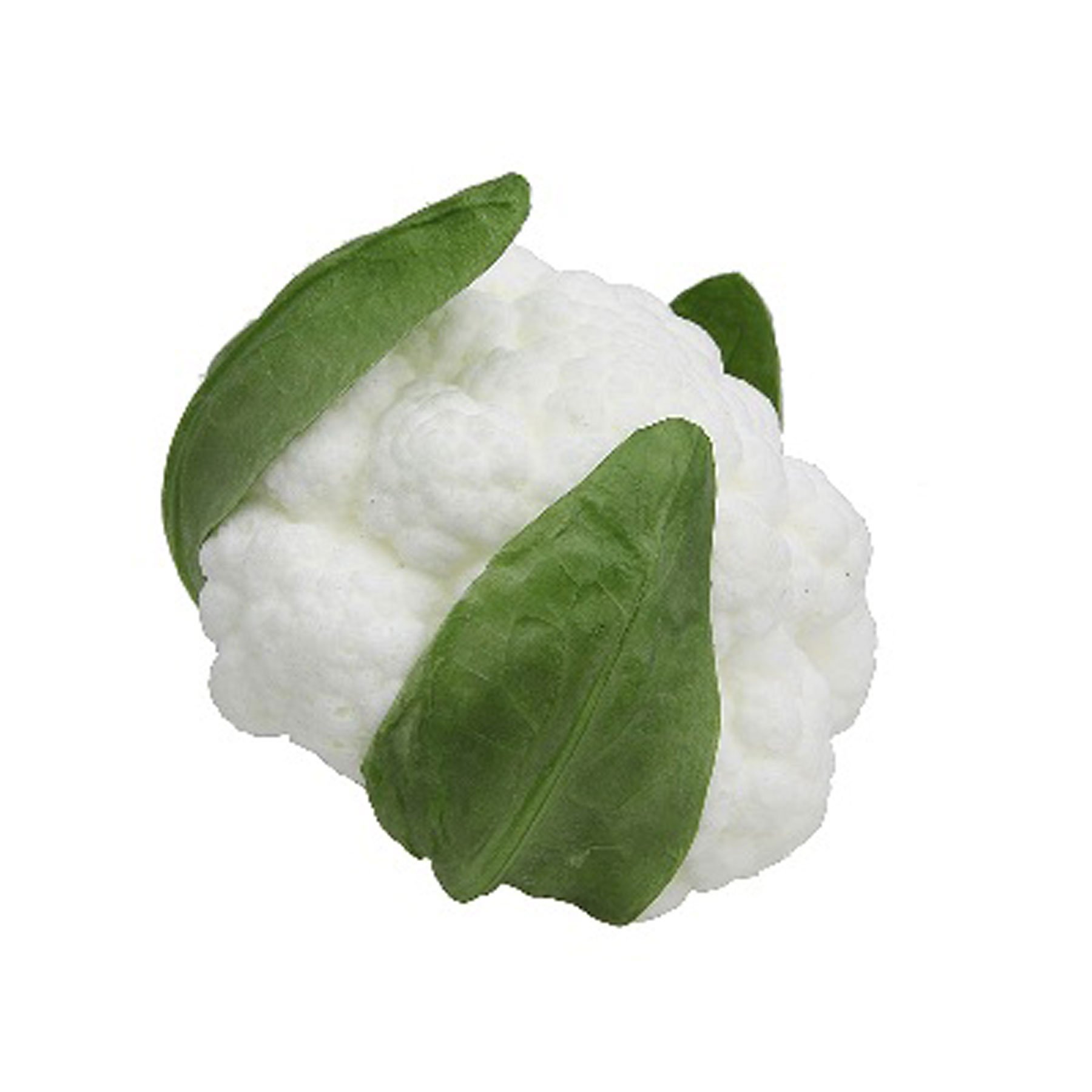 Artificial Fake Cauliflower Head - Realistic Decorative Vegetable for Home & Party Decor (Pack of 2) - Perfect for Kitchen Display, Themed Parties, and Photography Props