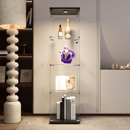 Black With Light-1 Door 4 Shelves