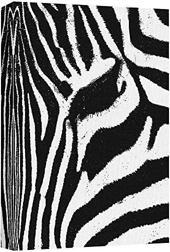 B21-2203-hol11