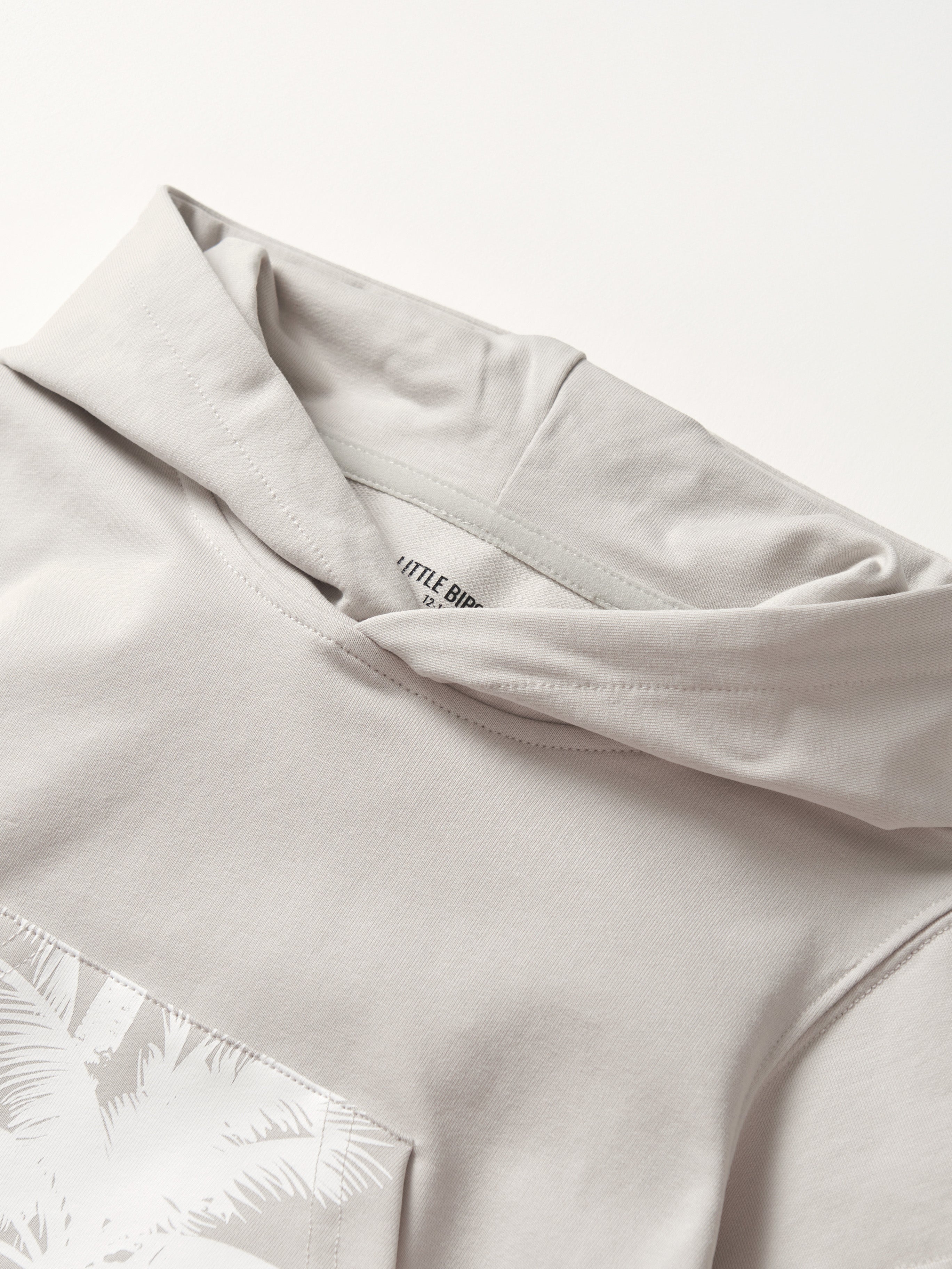 Raw Edge Short Sleeve Hoodie for Men & Women | Trendy Frost Color | Perfect for Streetwear & Casual Outfits