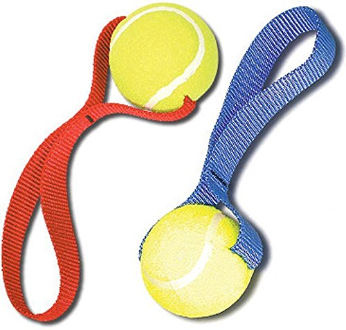 Cetacea Durable Dog Tennis Ball Toy - Step 5 Brown/Blue Chew-Resistant Fetch Toy for Medium & Large Dogs - Perfect for Outdoor Play, Training & Interactive Games