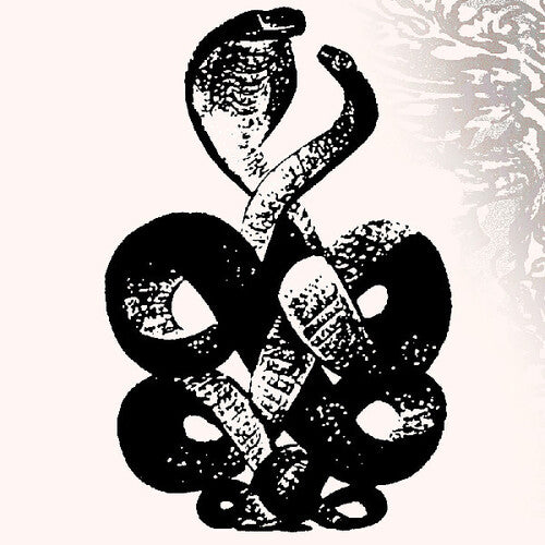Bardo Pond Volume 4 & 5 - Psychedelic Rock Vinyl Records for Music Collectors & Audiophiles - Perfect for Home Listening & Vinyl Enthusiast Collections