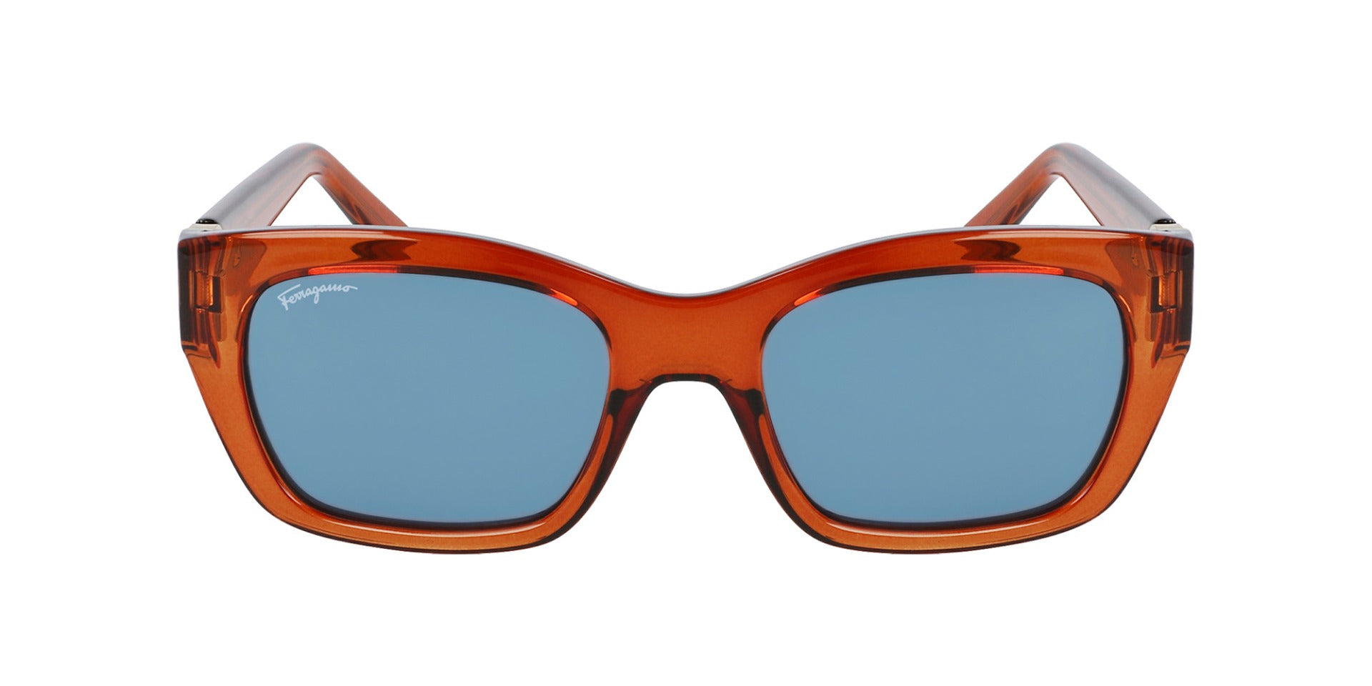 Ferragamo SF1012S Sunglasses for Women - Luxury Designer Shades with UV Protection - Perfect for Outdoor, Beach, and Travel Fashion Accessories