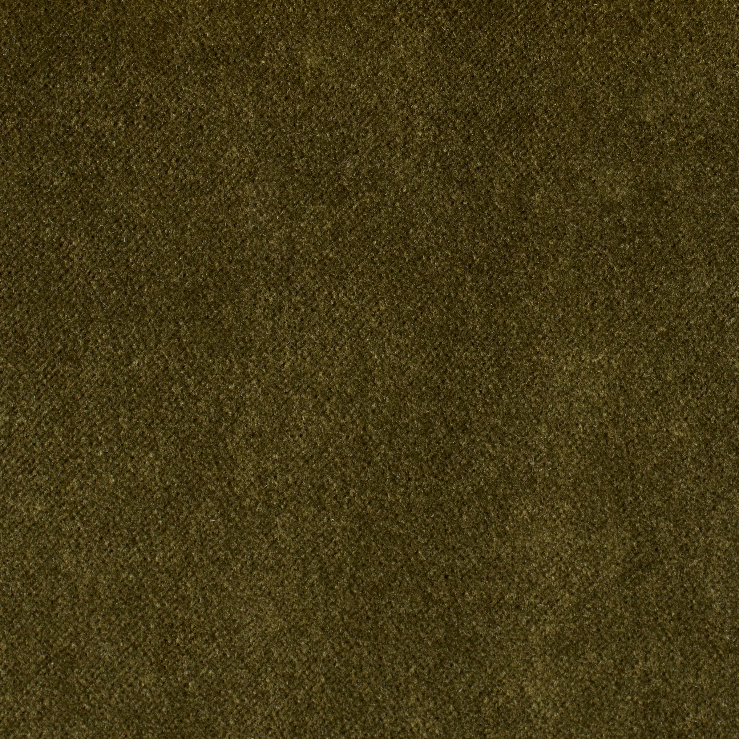 Premium Olive Green Performance Velvet Fabric - Soft, Durable & Stylish for Upholstery, Curtains & Home Decor