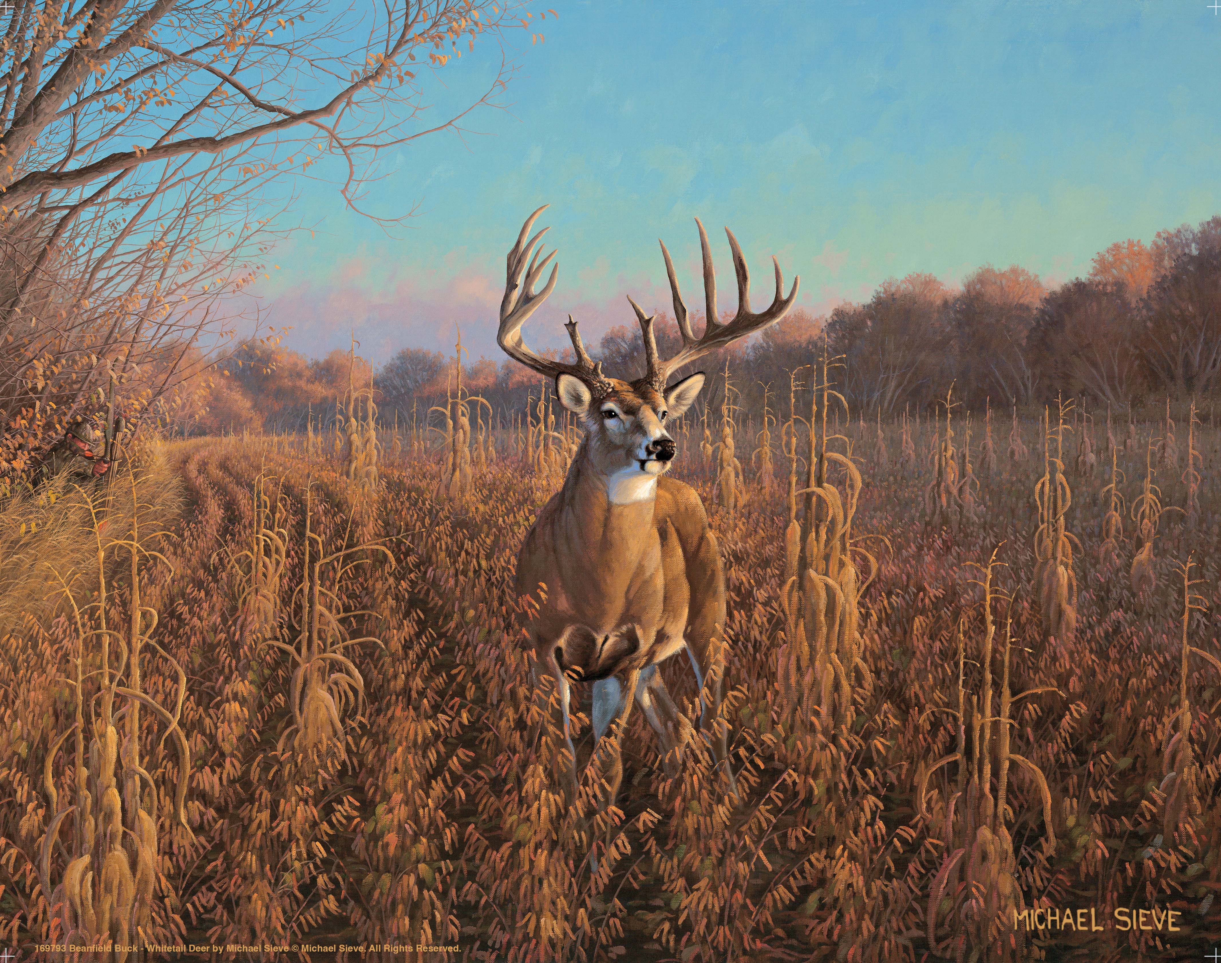 Beanfield Buck Whitetail Deer Hunting Art Prints - Premium Wildlife Wall Decor for Cabin, Lodge & Hunting Room