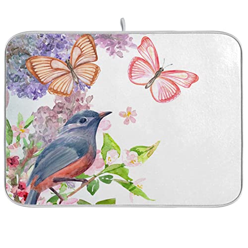 Bird Butterfly