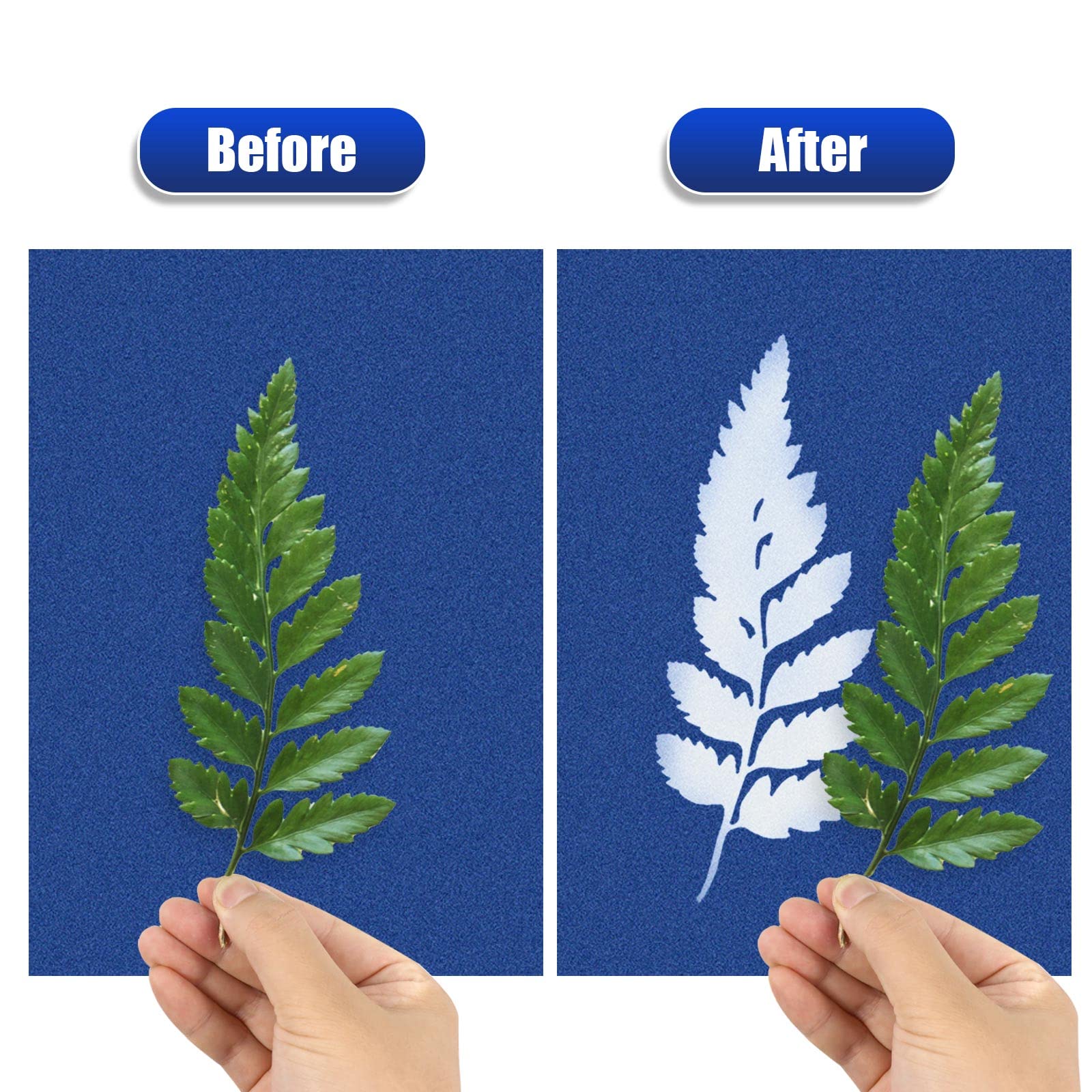 Cyanotype Paper Kit - 30 Pcs High Sensitivity Sun Printing Paper for Solar Drawing & Nature Printing - DIY Art & Craft Projects (A5 5.8 x 8.3 Inch) - Perfect for Botanical Prints, Blueprints, and Creative Photography Projects