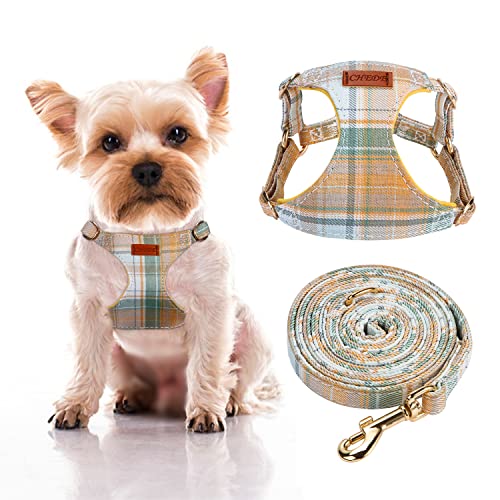 Gold Plaid