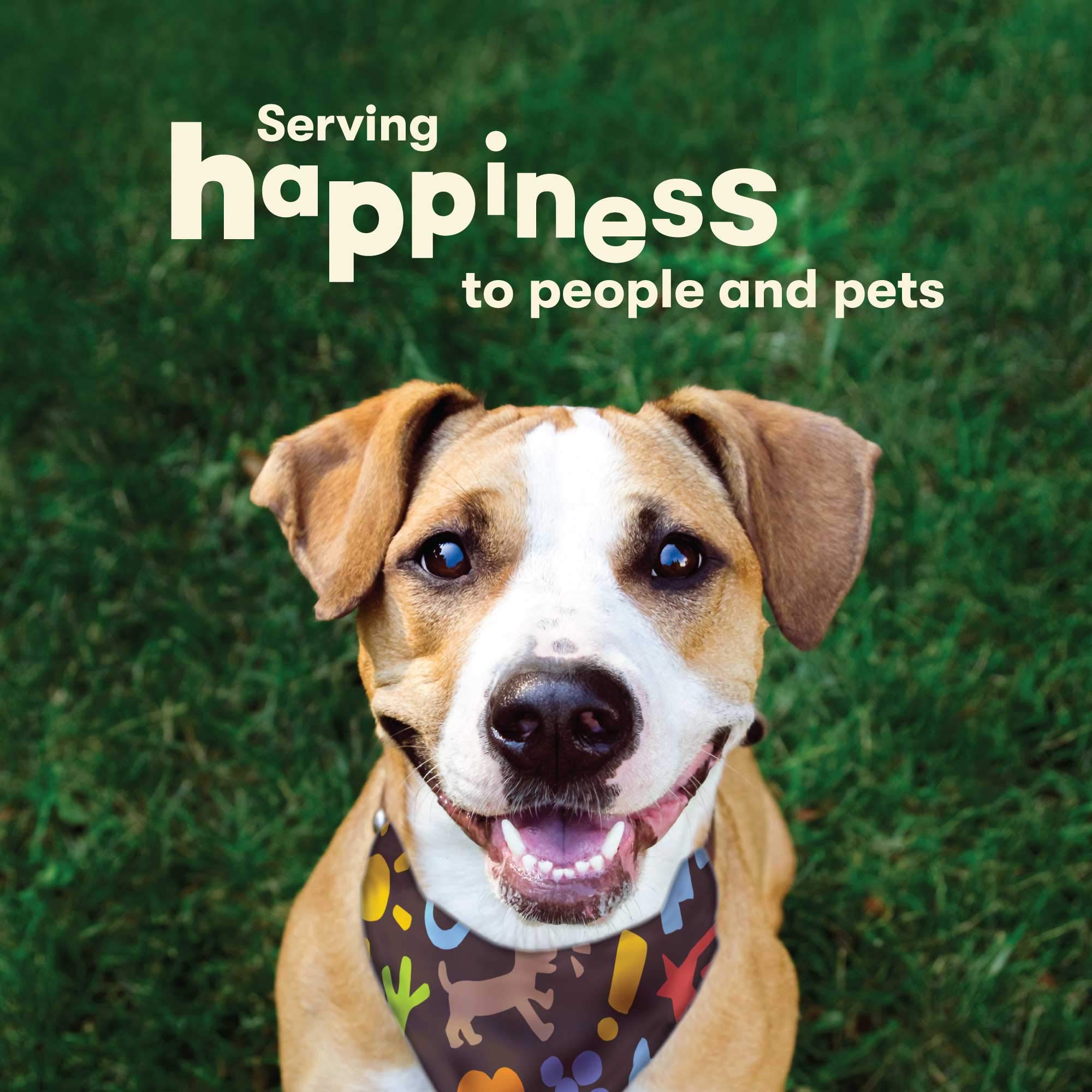 Pet 'n Shape Chik 'n Mix Variety Pack - Natural Chicken Puppy Treats, Dog Training Rewards & Healthy Snacks - 16oz (1lb) - Perfect for Training, Rewarding Good Behavior & Daily Treats