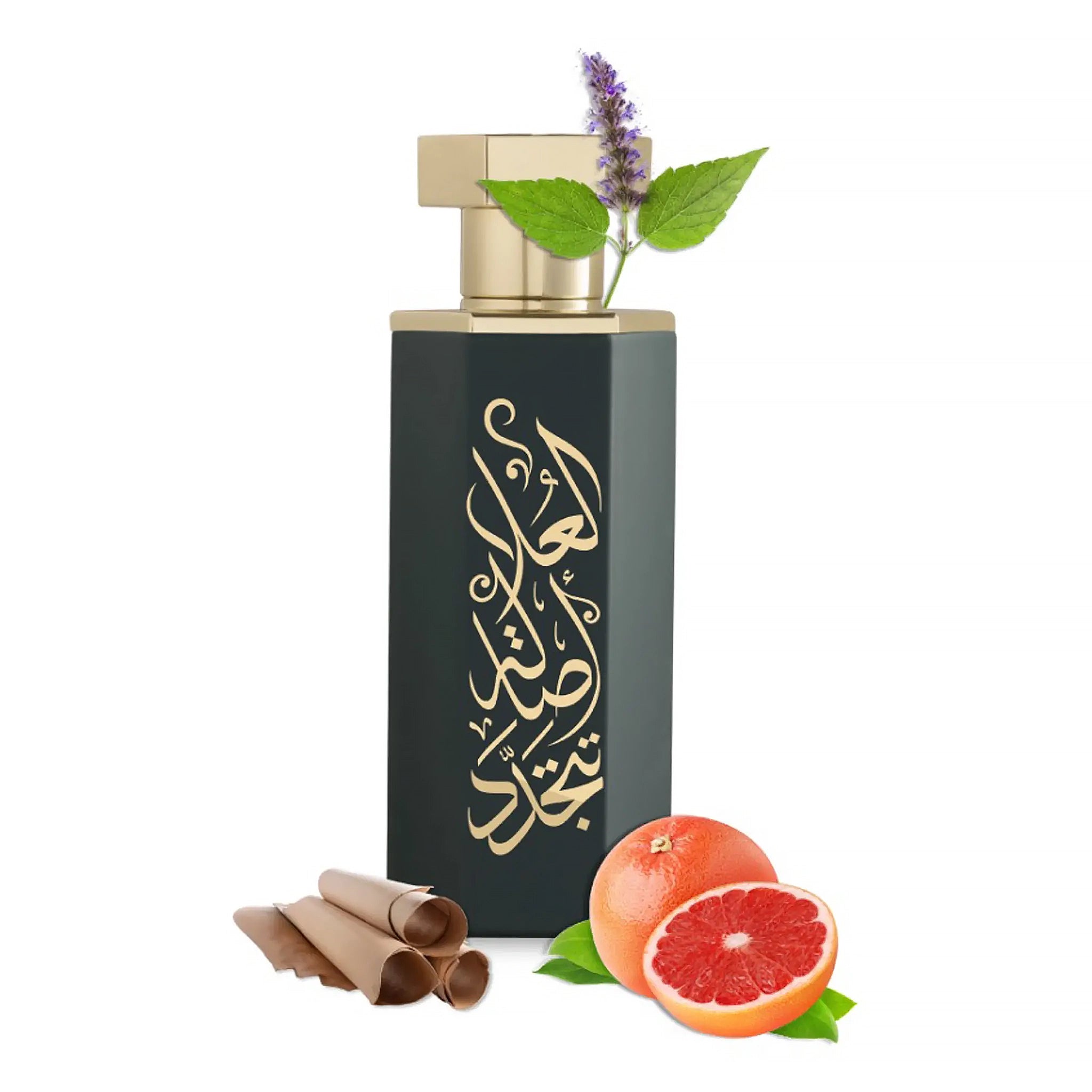 REEF Arabs of AlUla Eau De Parfum 100ml - Luxury Arabian Perfume for Men & Women - Long Lasting Fragrance for Date Night, Special Occasions & Daily Wear