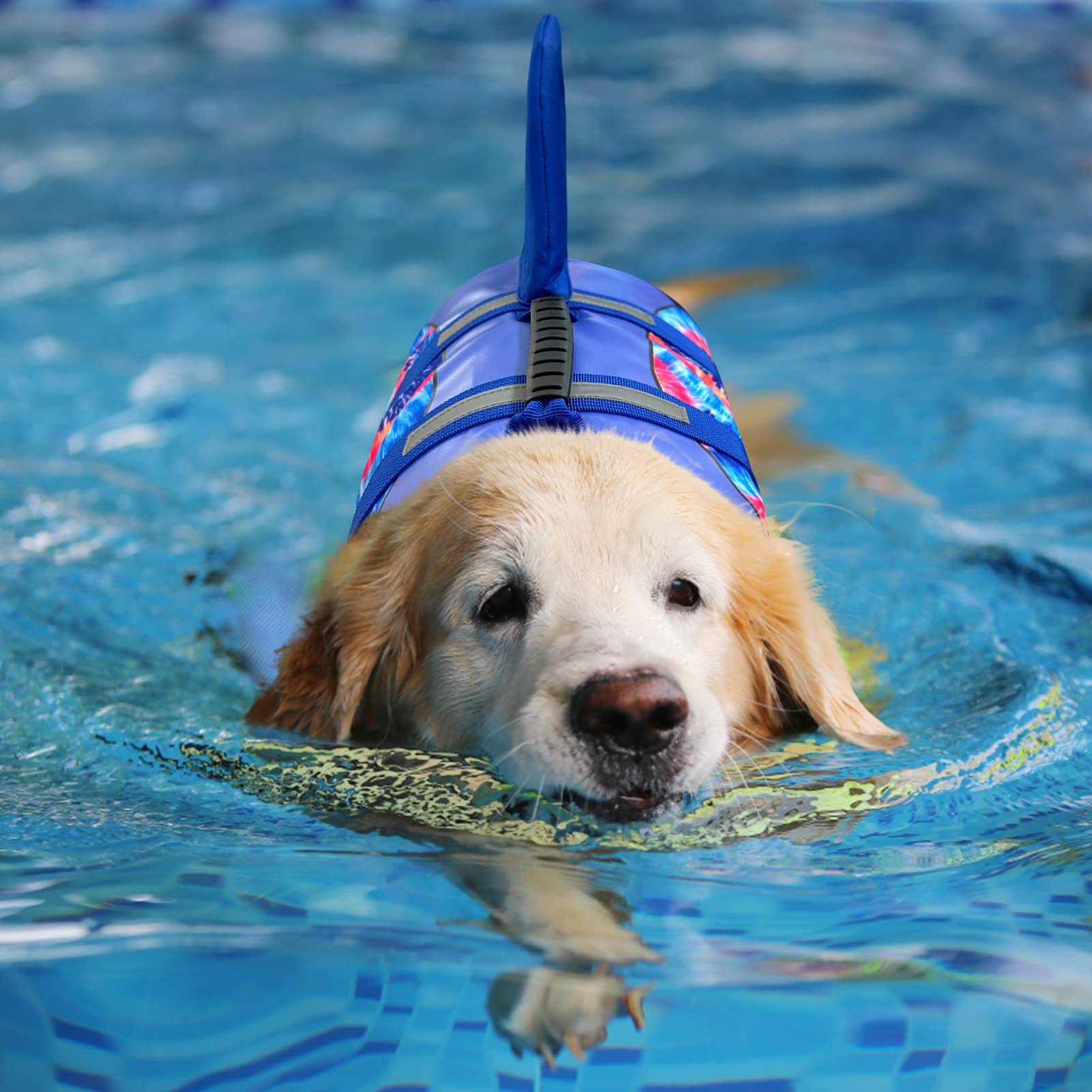 ASENKU Dog Life Jacket - Safety Vest for Swimming & Boating | Shark Design Pet Life Preserver | Flotation Swimwear for Small Medium Large Dogs | Perfect for Pool, Beach & Water Activities (Blue Bandhnu, Size M)