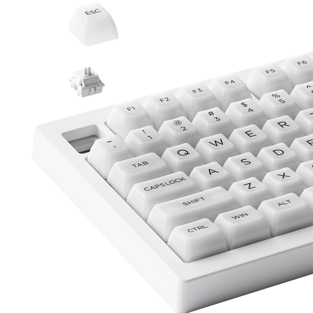 Akko 5075B Plus 75% Wireless Mechanical Keyboard - RGB Backlit, ASA Keycaps, Piano Pro Switch, White | Perfect for Gaming, Typing & Office Work