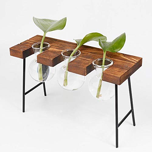 Modern Triple Balls Glass Desk Vase - Hydroponic Plant Terrarium Container with Wooden Stand | Elegant Home & Office Decor for Succulents, Air Plants, or Floating Flowers | Perfect for Windowsills, Desktops, and Shelf Displays