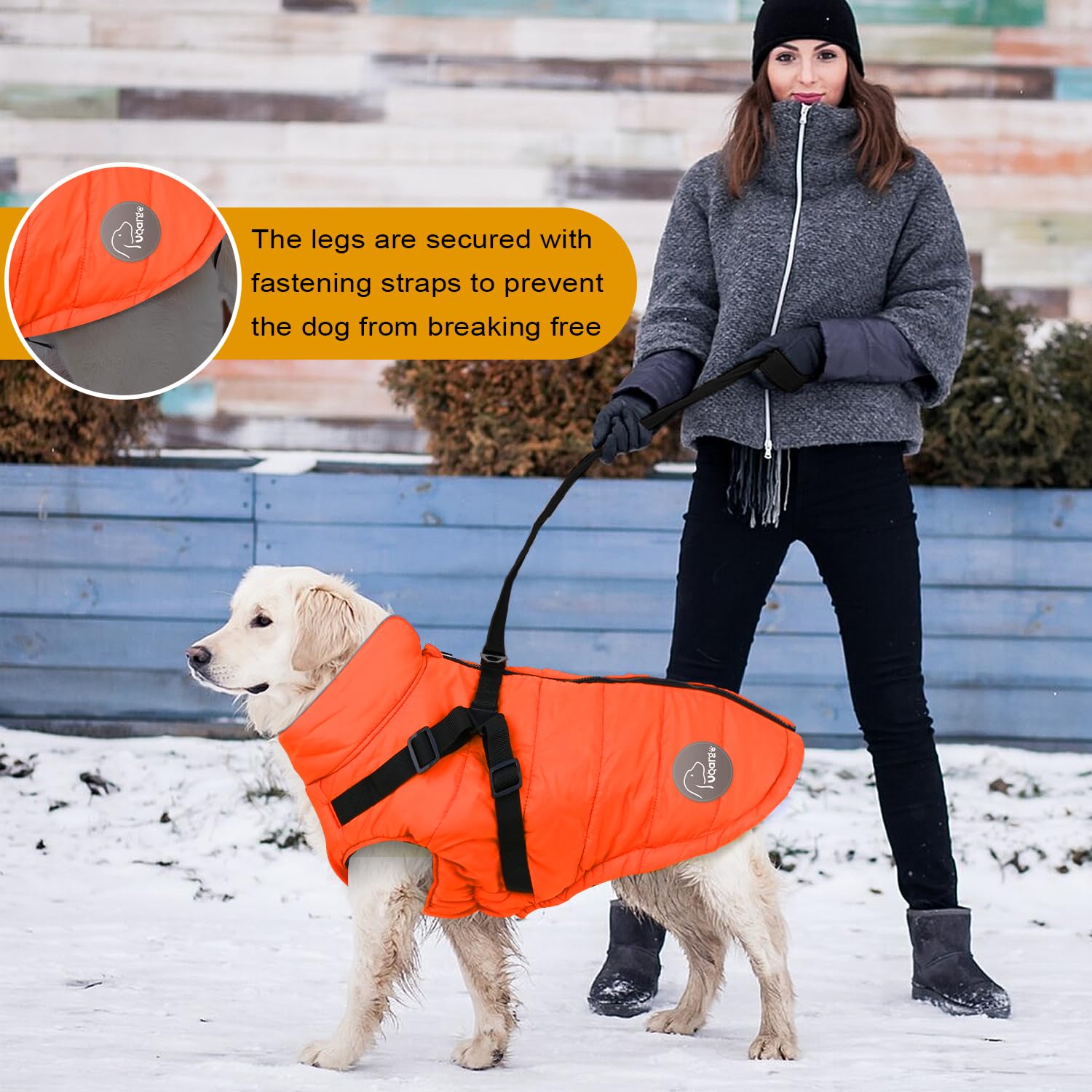 Waterproof Winter Dog Coat with Built-in Harness & Reflective Stripes - Warm Cold Weather Jacket for Small & Medium Dogs (Green, L) - Perfect for Snowy Walks & Outdoor Adventures
