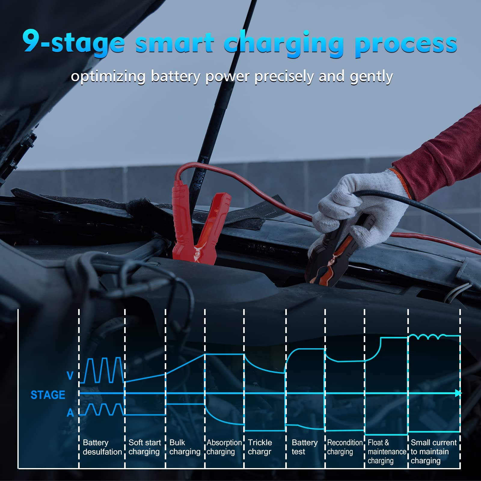 25Amp 12V/24V Lithium Battery Charger for Lifepo4 & Lead Acid (AGM/Gel/SLA) - High Power Fast Charger & Trickle Maintainer for Car, Boat, Motorcycle - Perfect for RV, Marine, ATV & Off-Grid Power Supply
