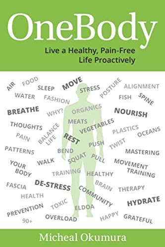 OneBody - Premium Posture Corrector & Back Support Brace for Pain Relief - Ideal for Office Work, Driving & Daily Activities
