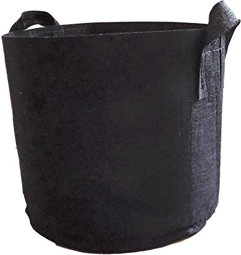 Bootstrap Farmer 5 Gallon Fabric Grow Bags with Handles - 10 Pack | Durable Plant Pots for Vegetables, Herbs & Flowers | Indoor/Outdoor Gardening & Container Planting