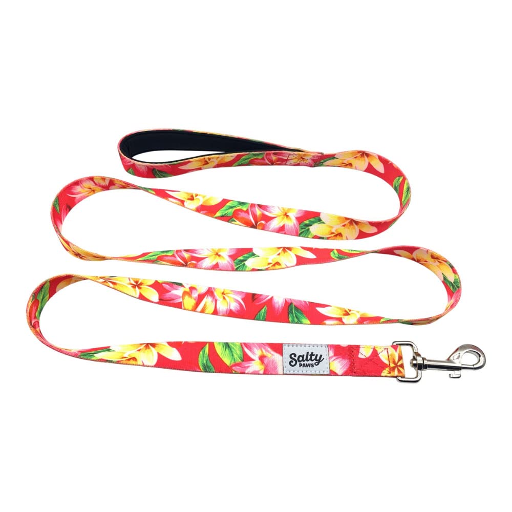 Salty Paws Floral Print Dog Leash with Padded Handle - Heavy Duty Pet Leash for Small, Medium & Large Dogs (6ft Large Size, Pink Floral Pattern, 50-90 lbs) - Perfect for Walks, Training & Outdoor Adventures