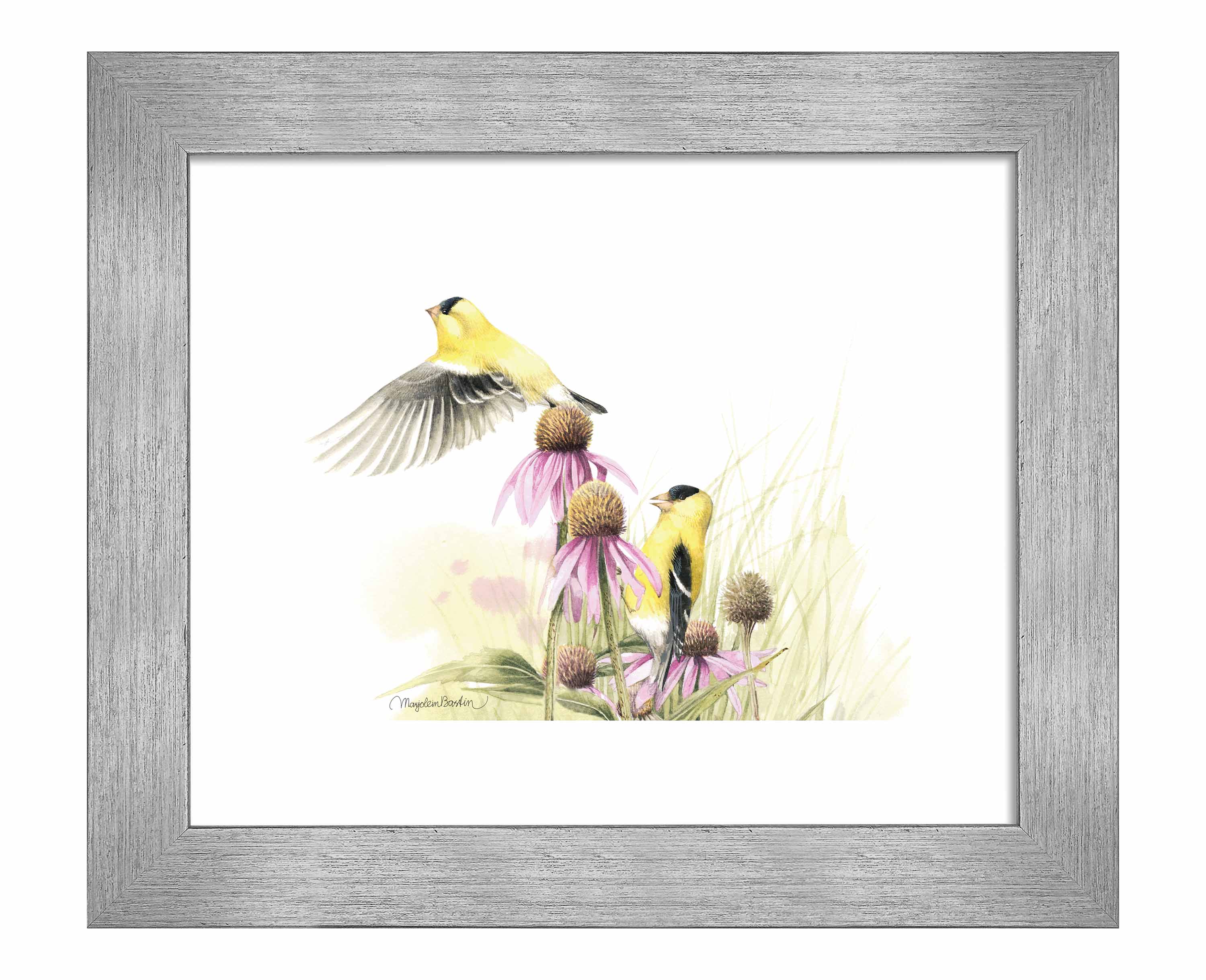 Vibrant Coneflower Feast Art Prints - Botanical Wall Decor for Home, Office & Gifts | Nature-Inspired Floral Artwork