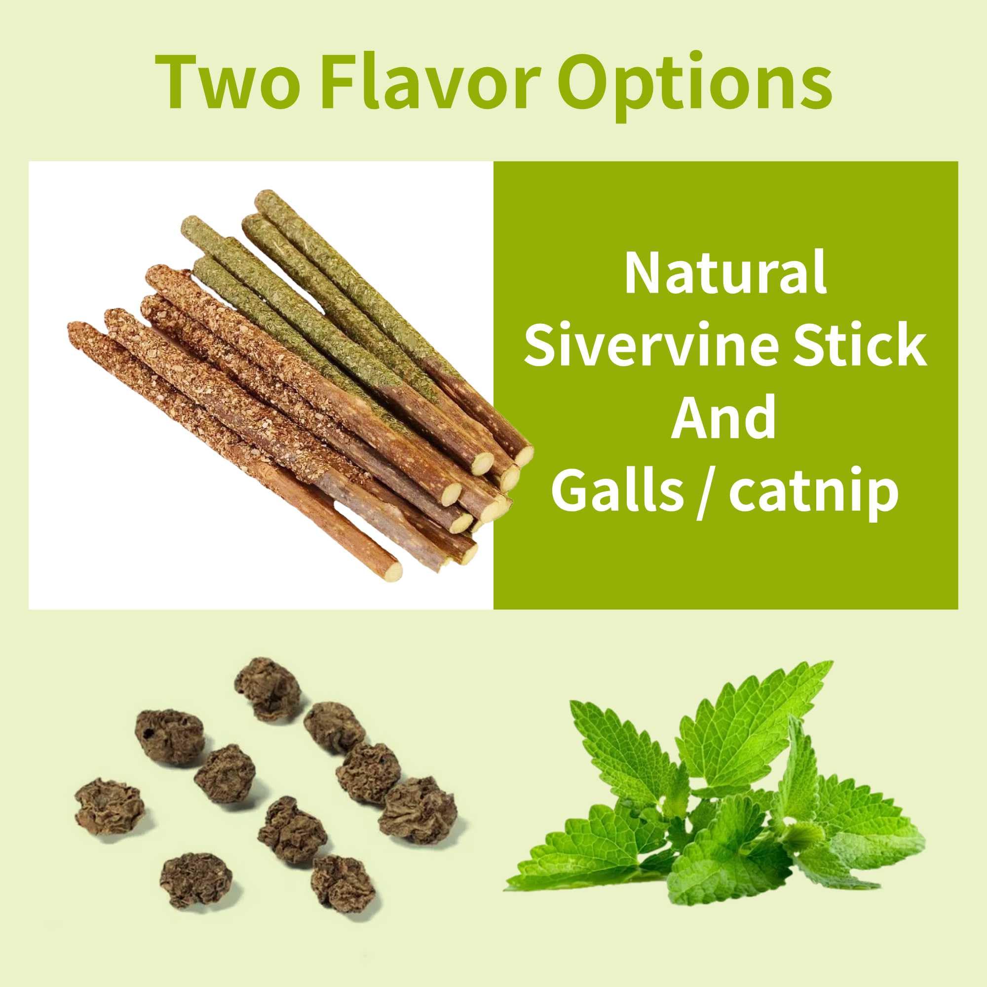 12 Pack Natural Silvervine Cat Chew Sticks - Catnip Dental Treats for Teeth Cleaning, Kitten Teething Toys & Edible Kitty Chew Toys - Perfect for Indoor Cats & Playtime Enrichment