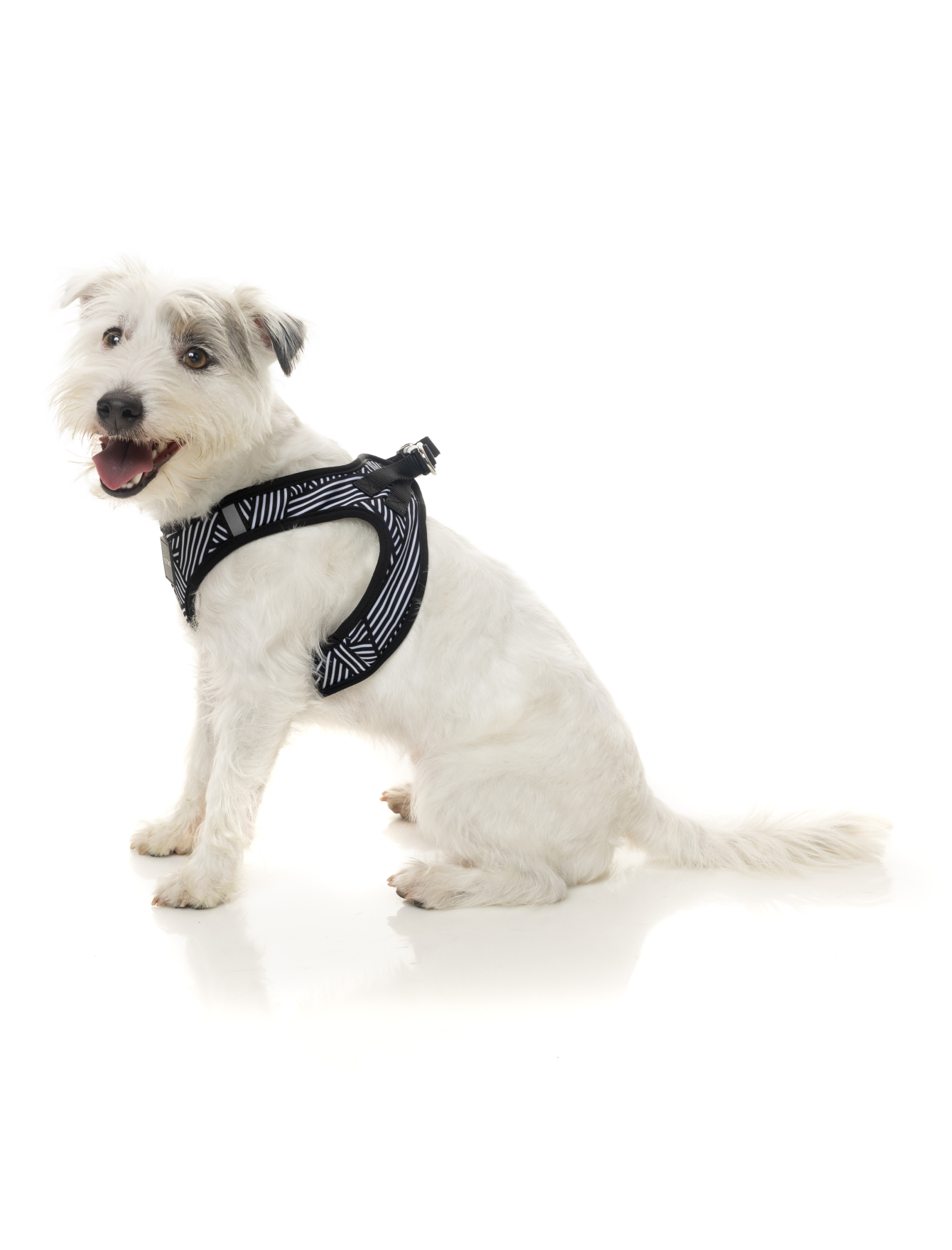Fuzzyard Step-in Dog Harness - Adjustable & Reflective Northcote Pet Vest for Small to Large Dogs (6 Sizes) - Perfect for Walking, Hiking & Outdoor Adventures