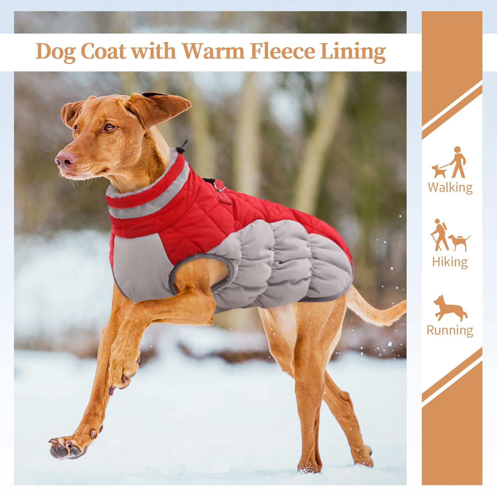 Waterproof Fleece-Lined Dog Winter Coat for Medium Dogs - Warm Zip-Up Jacket with D-Ring for Cold Weather, Snowsuit for Pug & Boston Terrier (Red, Size M) - Perfect for Winter Walks & Outdoor Adventures